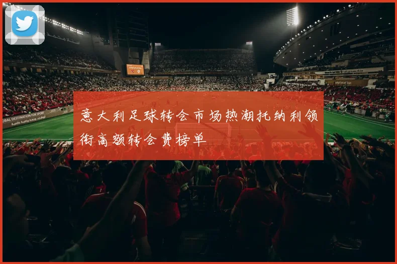 意大利足球转会市场热潮托纳利领衔高额转会费榜单